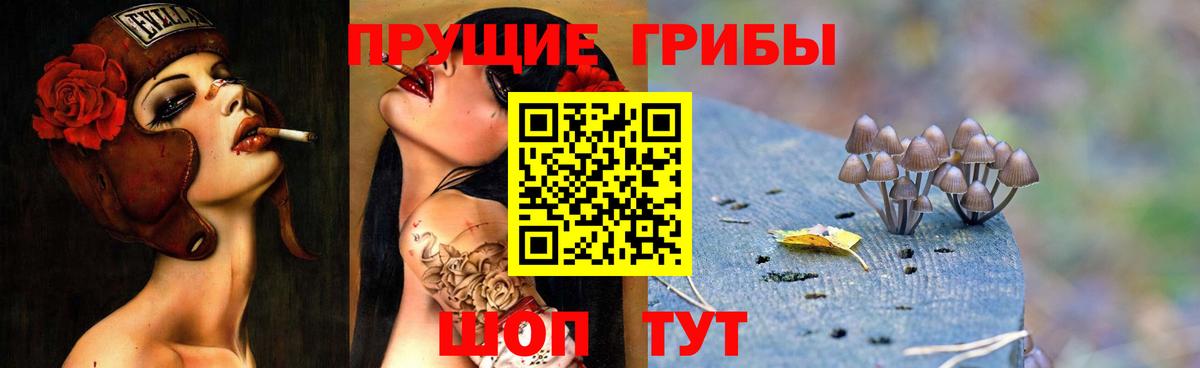 Галлюциногенные грибы Cubensis Урай